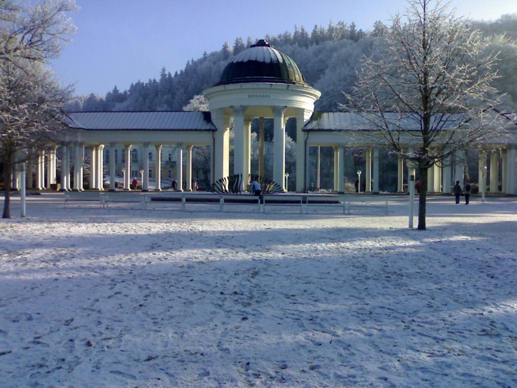 Topapartmany Lesni Mariánské Lázně Exterior foto